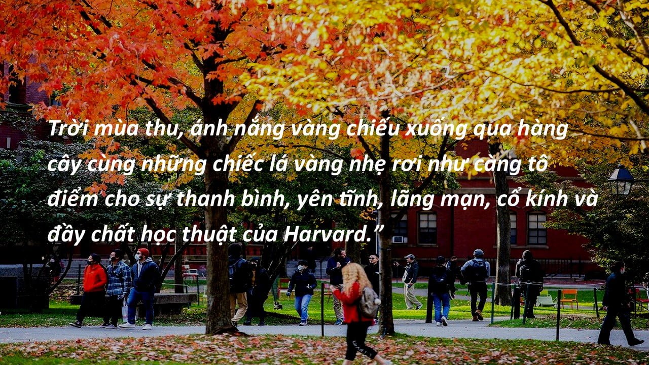 11. Harvard autumn