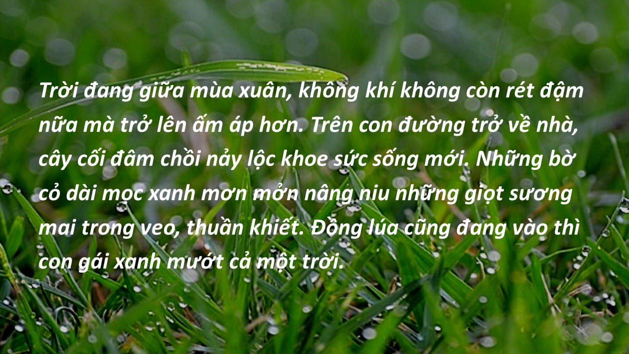 6. Mùa xuân