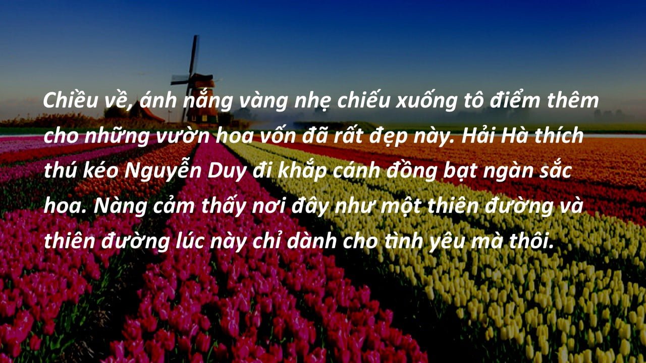 9. Nụ hôn ở Đồng hoa tulip